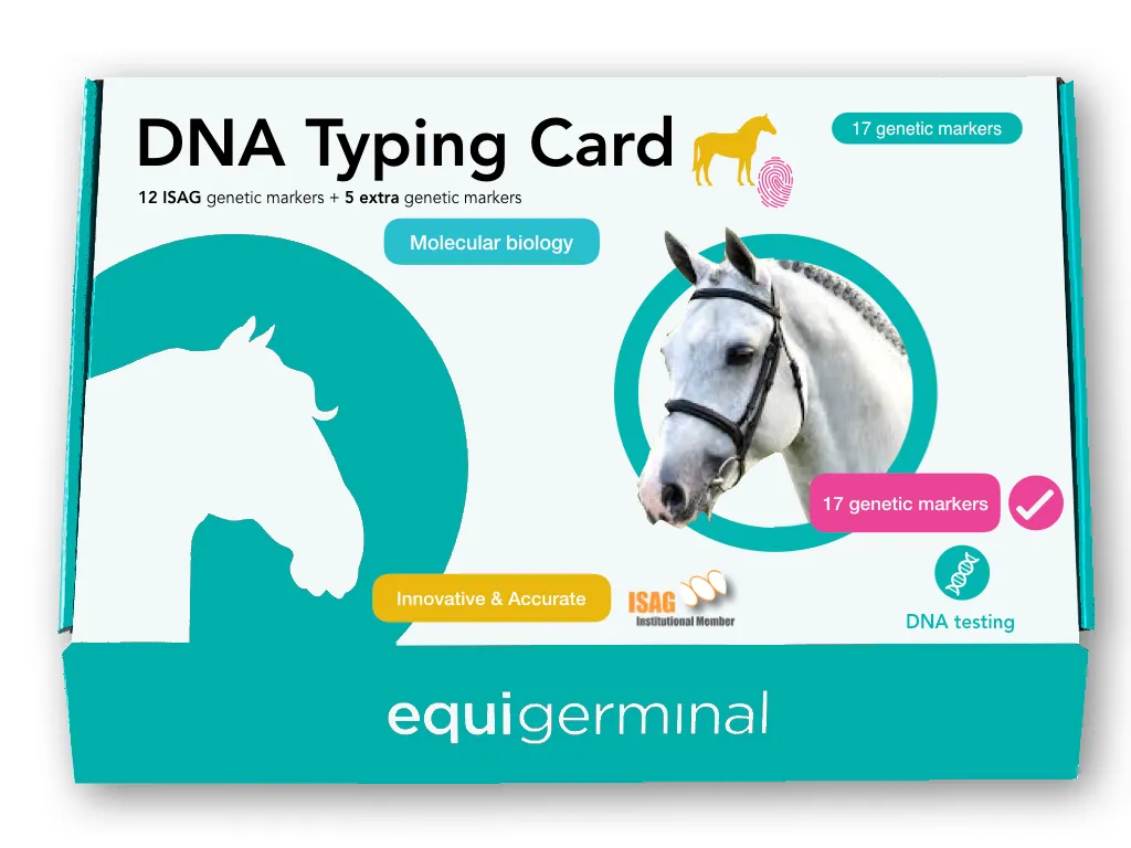 DNA Typing card - 17 STR markers