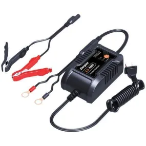 ENC2A 2-Amp Battery Charger-Maintainer