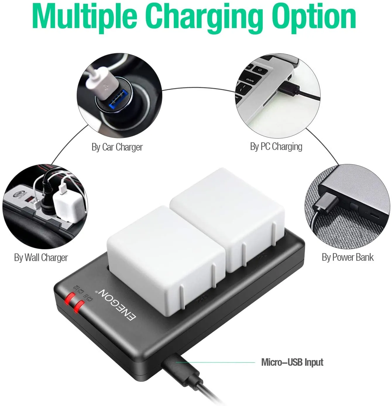 Rechargeable Li-ion Battery(2 Pack) and Smart LED Dual Charger Kit