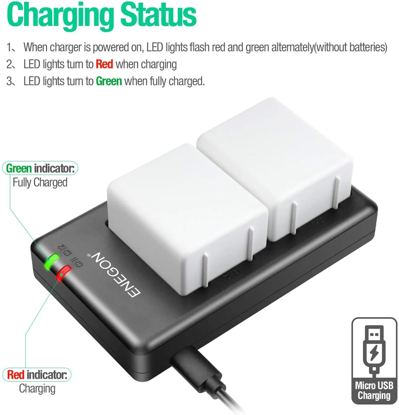 Rechargeable Li-ion Battery(2 Pack) and Smart LED Dual Charger Kit